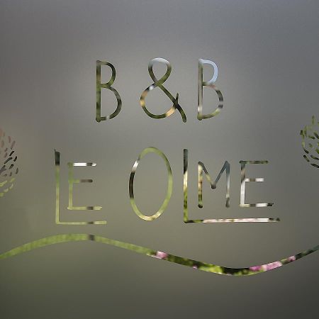 B&B Le Olme Mogliano Veneto Bagian luar foto